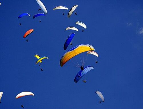 Flying a paraglider in crowded airspace.