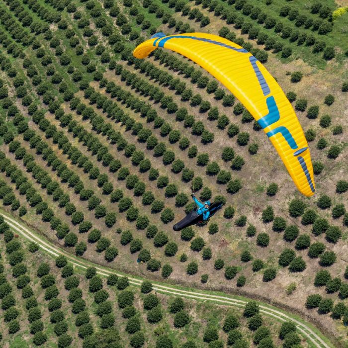 Ozone Photon 2 Liner Paraglider