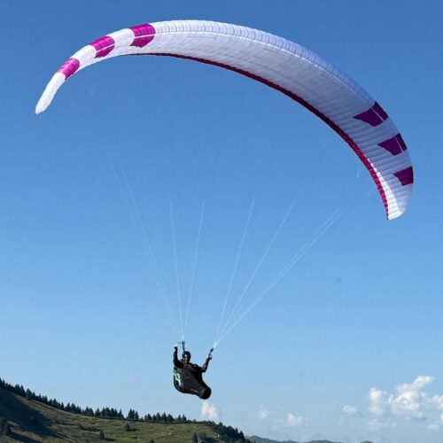 phi-maestro-3-light lilac white